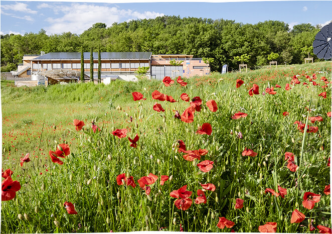 Au coeur de la <strong>Haute Provence</strong>