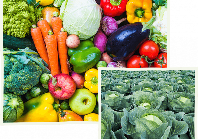 Les premières <strong>coopératives</strong>
de consommateurs