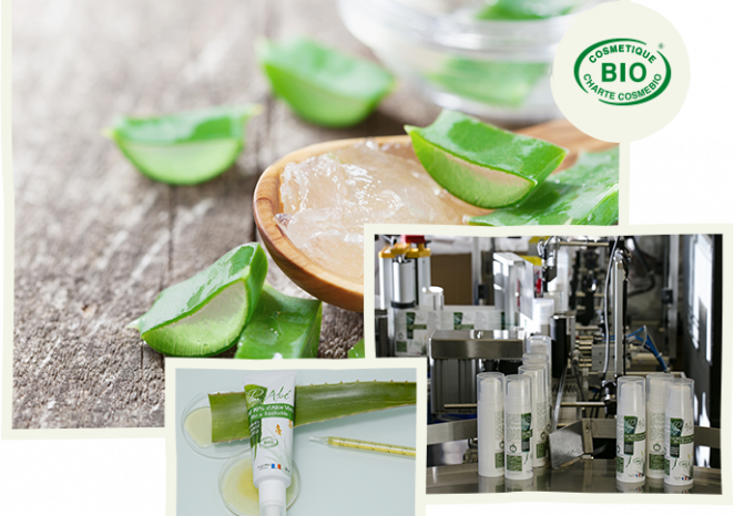 La richesse des produits
certifiés bio 