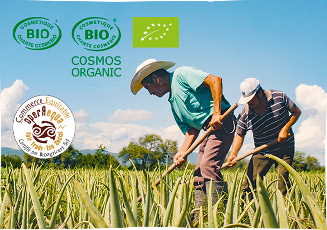 1. Éthique <strong>de la culture et des plants</strong> 