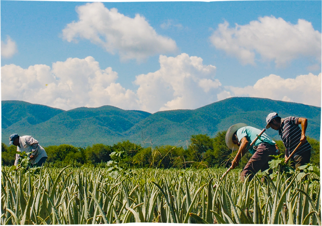 La culture au <strong>Mexique</strong>