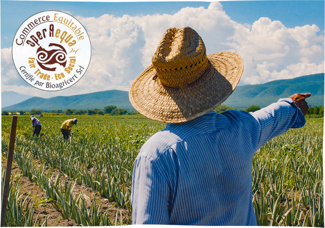 Le Commerce <strong>Equitable</strong>