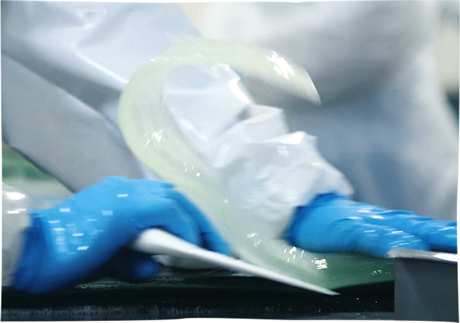 <strong>L'extraction de la pulpe</strong> à la main