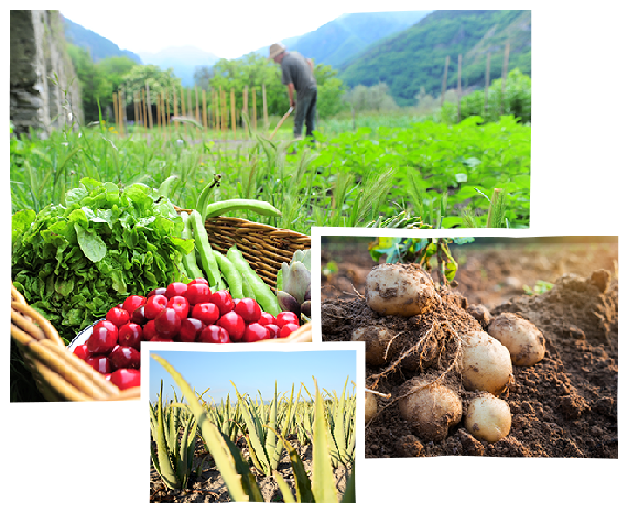 La <strong>Bio</strong> dans le <strong>monde</strong>