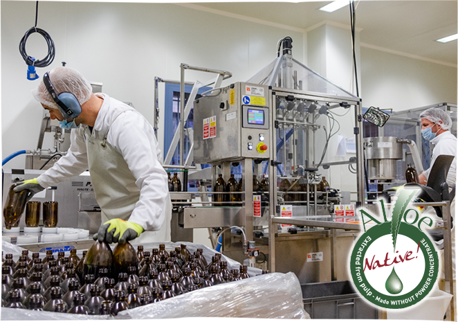 <strong>Manufacturing</strong>